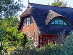 häusliche Idylle - Jasmunder Bodden/Rügen