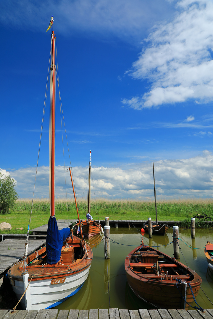 Hafen Ahrenshoop