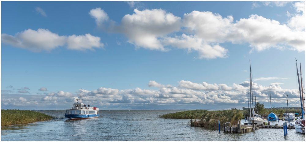 Hafen Ahrenshoop