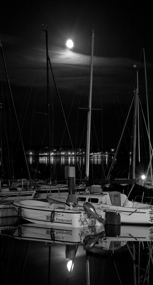 Hafen am Bernsteinsee in Bitterfeld