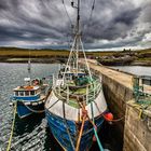 Hafen bei Tingwall - Orkney Islands - Schottland