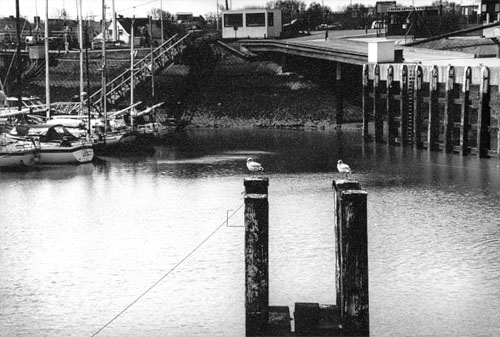 Hafen (Blankenberge-Belgien)