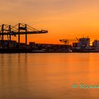 Hafen Bonn in Abendstimmung