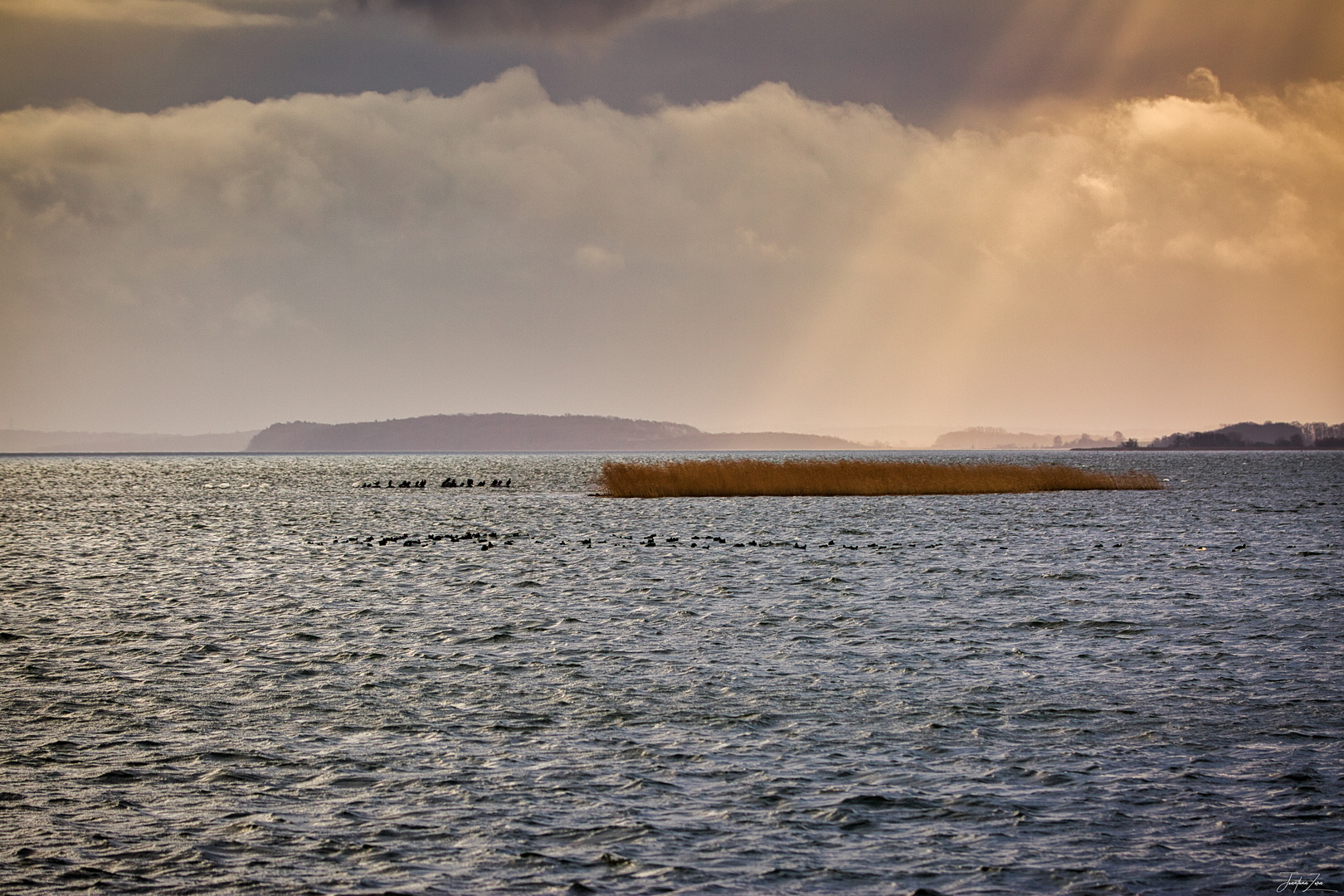 Hafen Breege