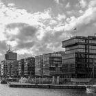 Hafen City 2017