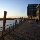 Hafen City 5