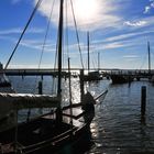 Hafen Dierhagen am Saaler Bodden