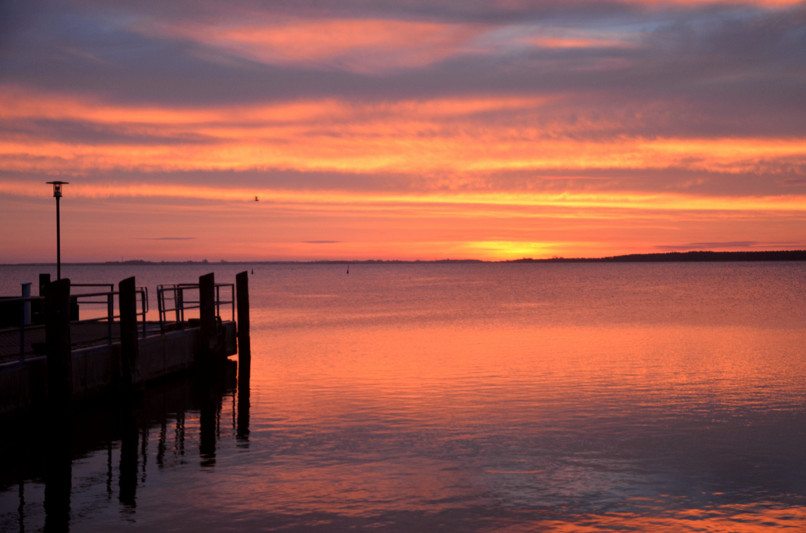 Hafen Dierhagen,Saaler Bodden 1