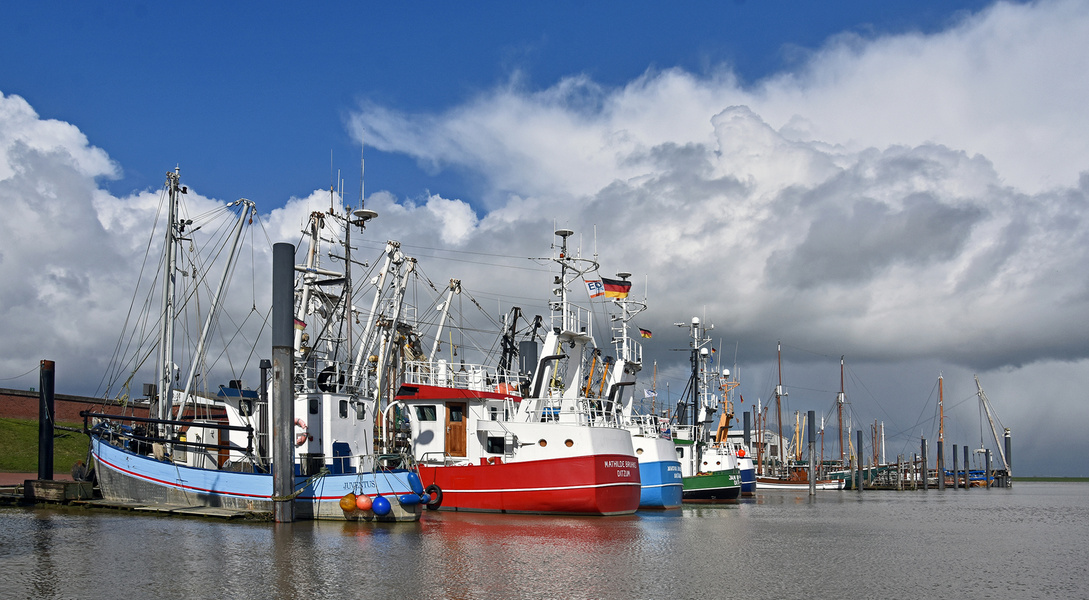 Hafen Ditzum....