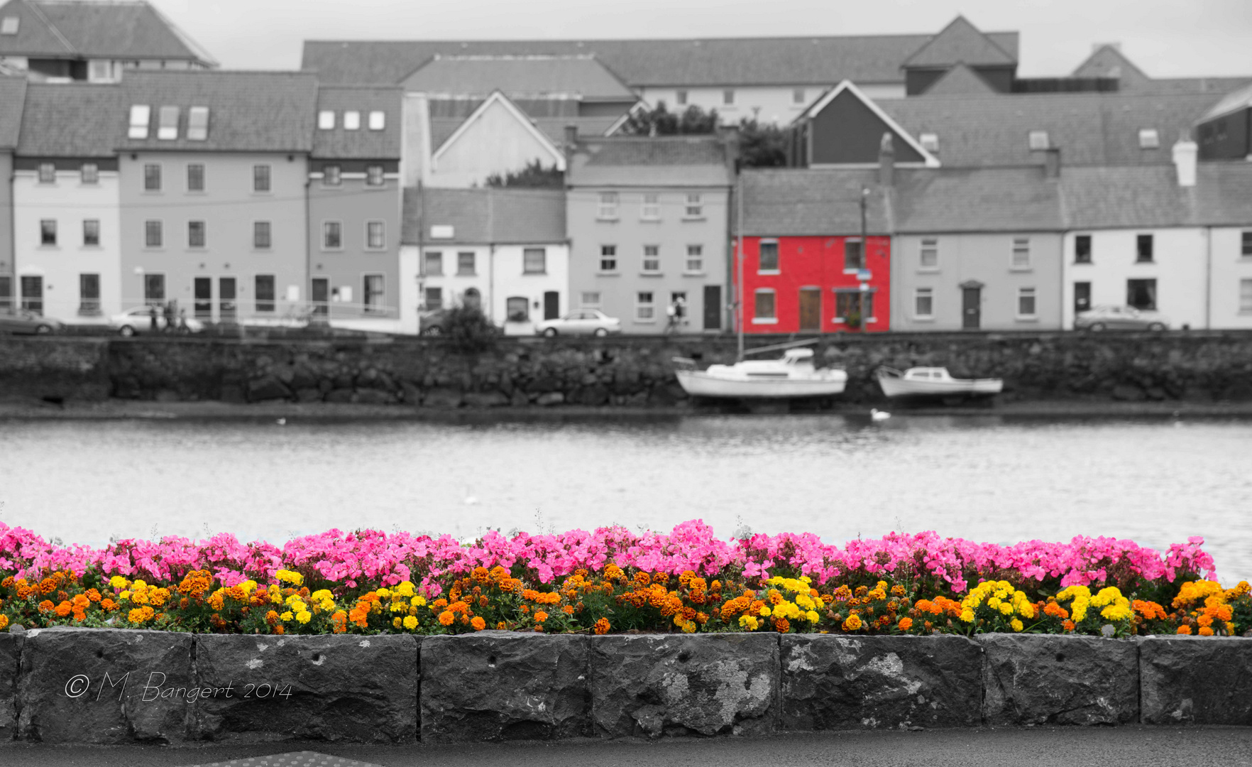 Hafen Galway 2