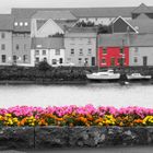 Hafen Galway 2