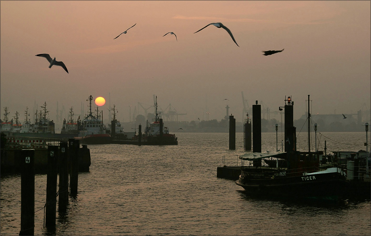 * Hafen Hamburg *