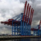 Hafen Hamburg, Burchardkai im September 2014