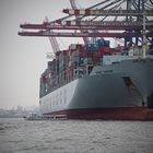 Hafen Hamburg - Cosco Taicang