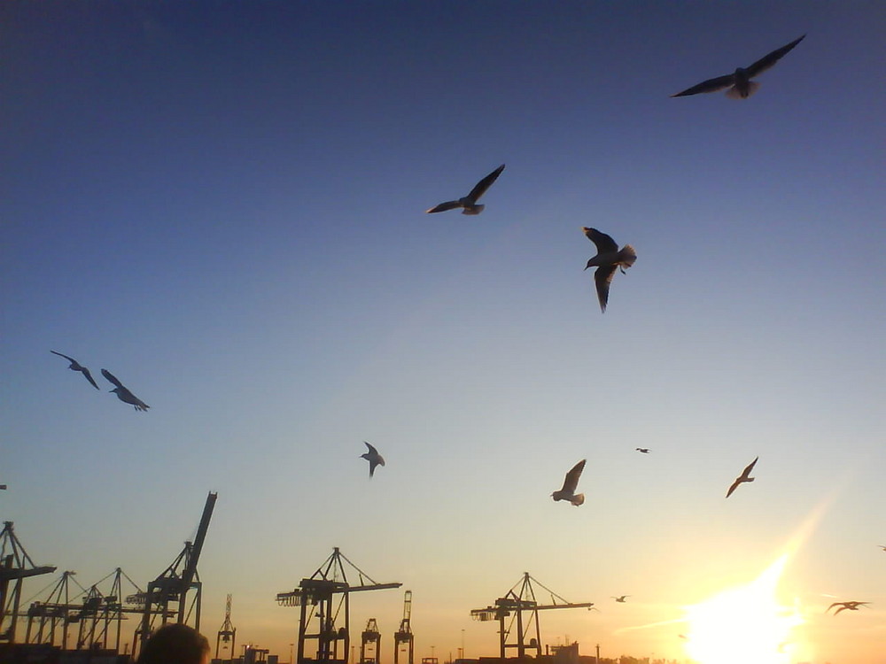 Hafen Hamburg Herbst 2009