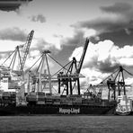 Hafen Hamburg mit der Hapag Lloyd