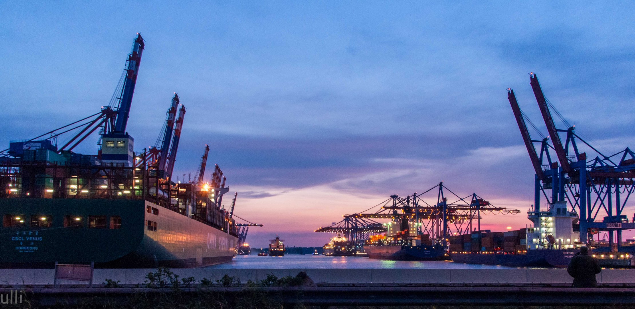 Hafen Hamburg zur blauen Stunde - Eurogate und Burchardkai