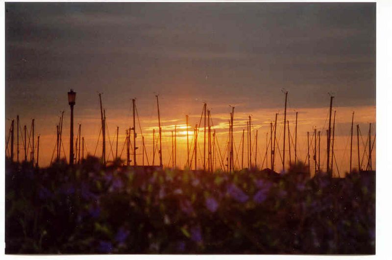 Hafen Howth im Abendrot