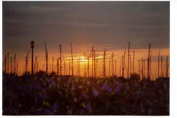 Hafen Howth im Abendrot