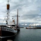 Hafen Husavik