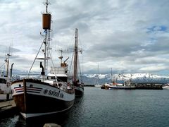 Hafen Husavik