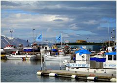 Hafen Husavik