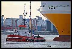 Hafen im Eis - Übergabe des Taus