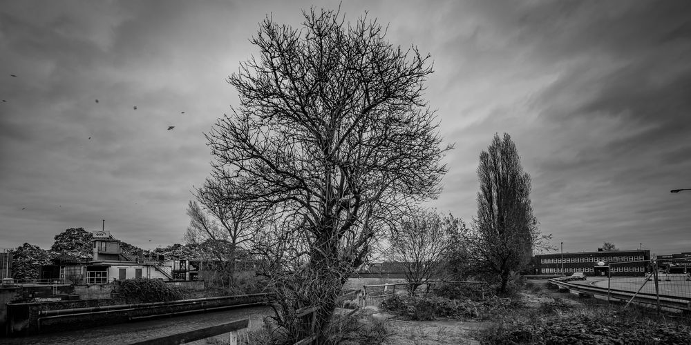 Hafen im Herbst