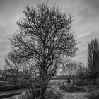 Hafen im Herbst