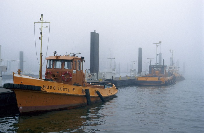 Hafen im Nebel