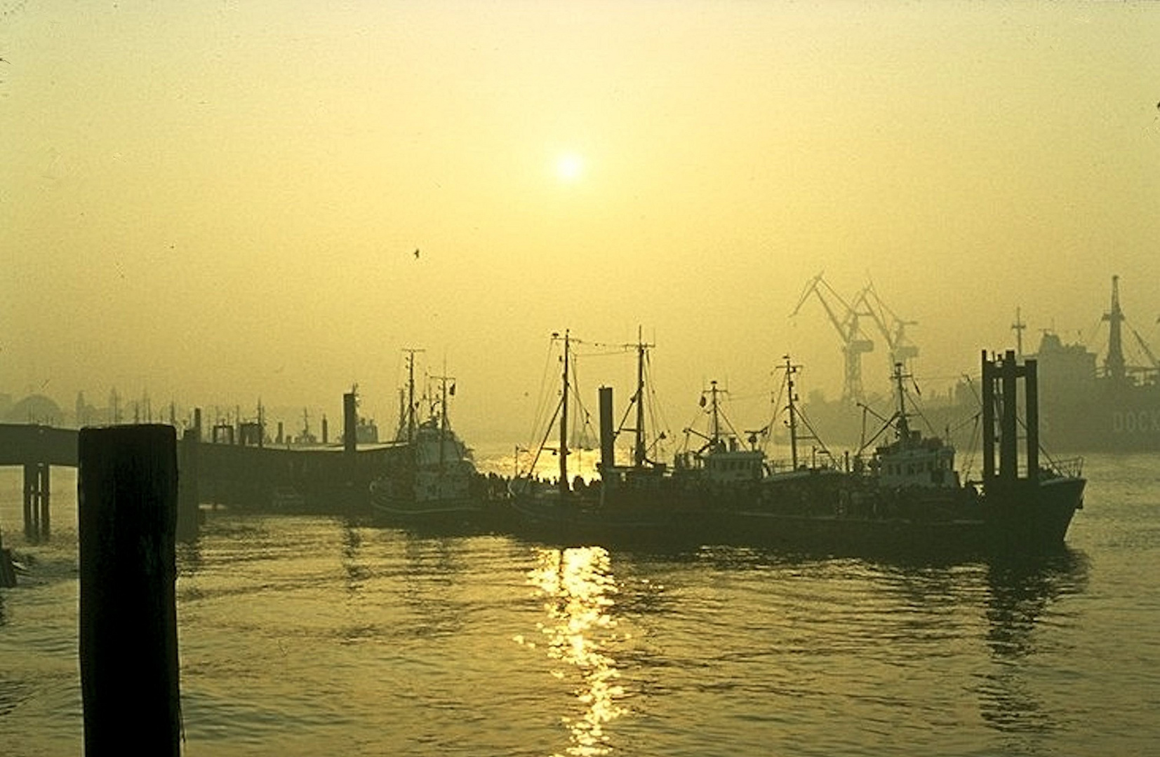 Hafen im Nebel