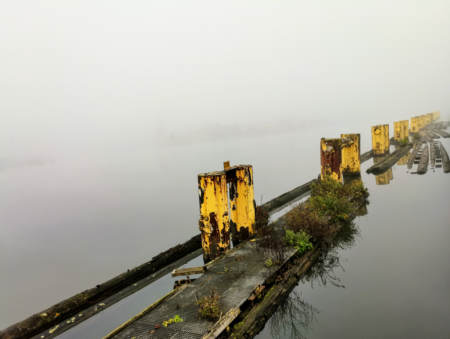 Hafen im Nebel