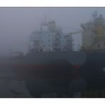 Hafen im Nebel