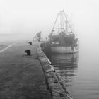 Hafen im Nebel