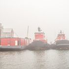 Hafen im Nebel