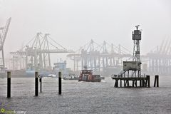 Hafen im Nebel