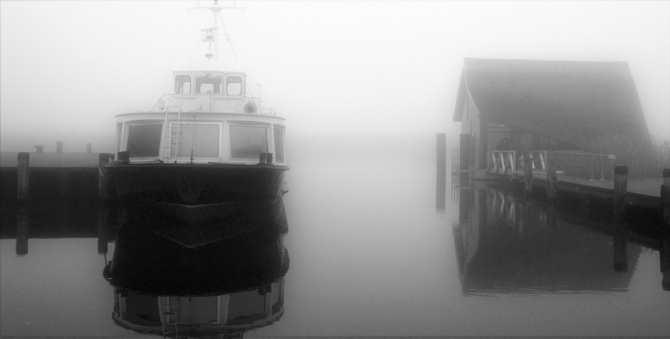 Hafen im Nebel