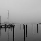 Hafen im Nebel