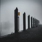 Hafen im Nebel