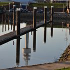 Hafen im Winter