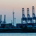 Hafen Impression - XV