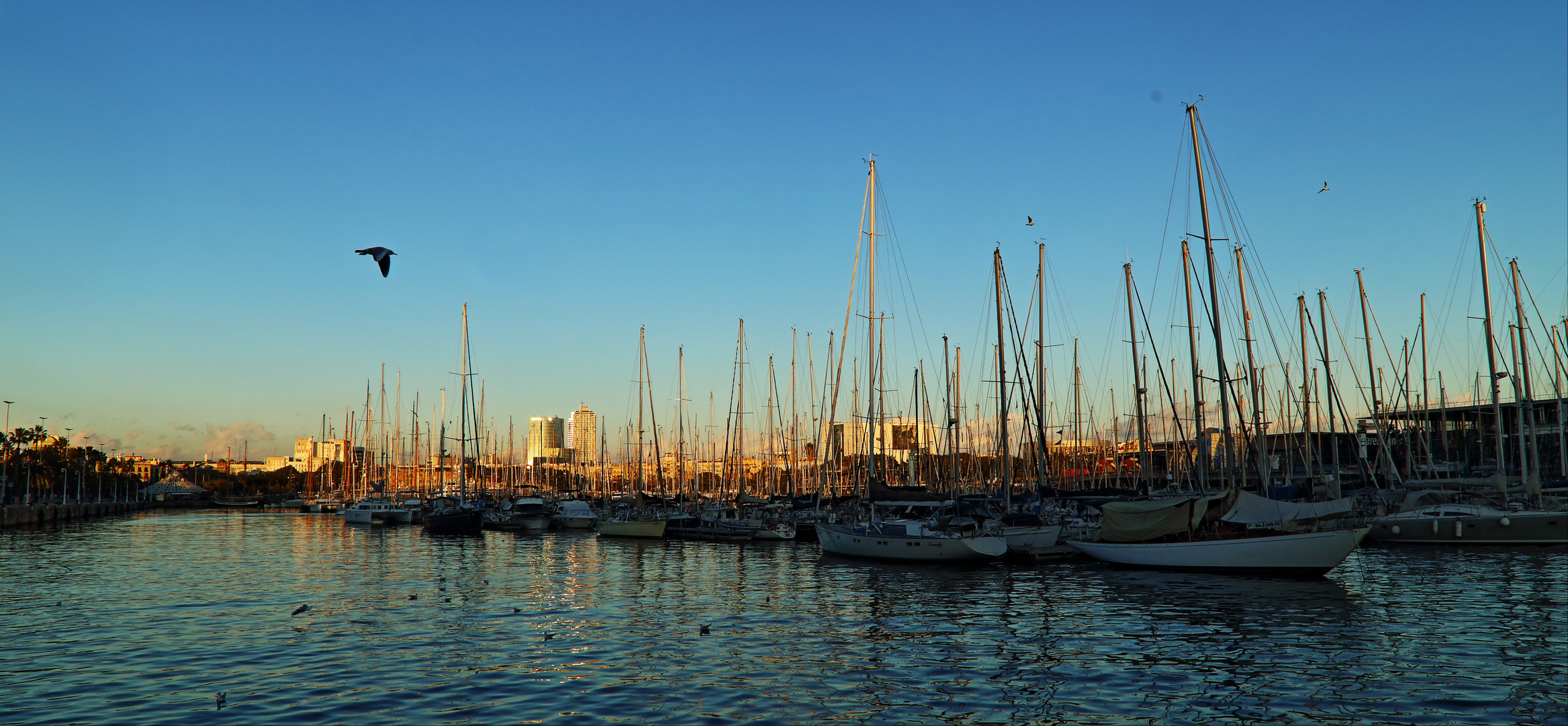 Hafen in Barca