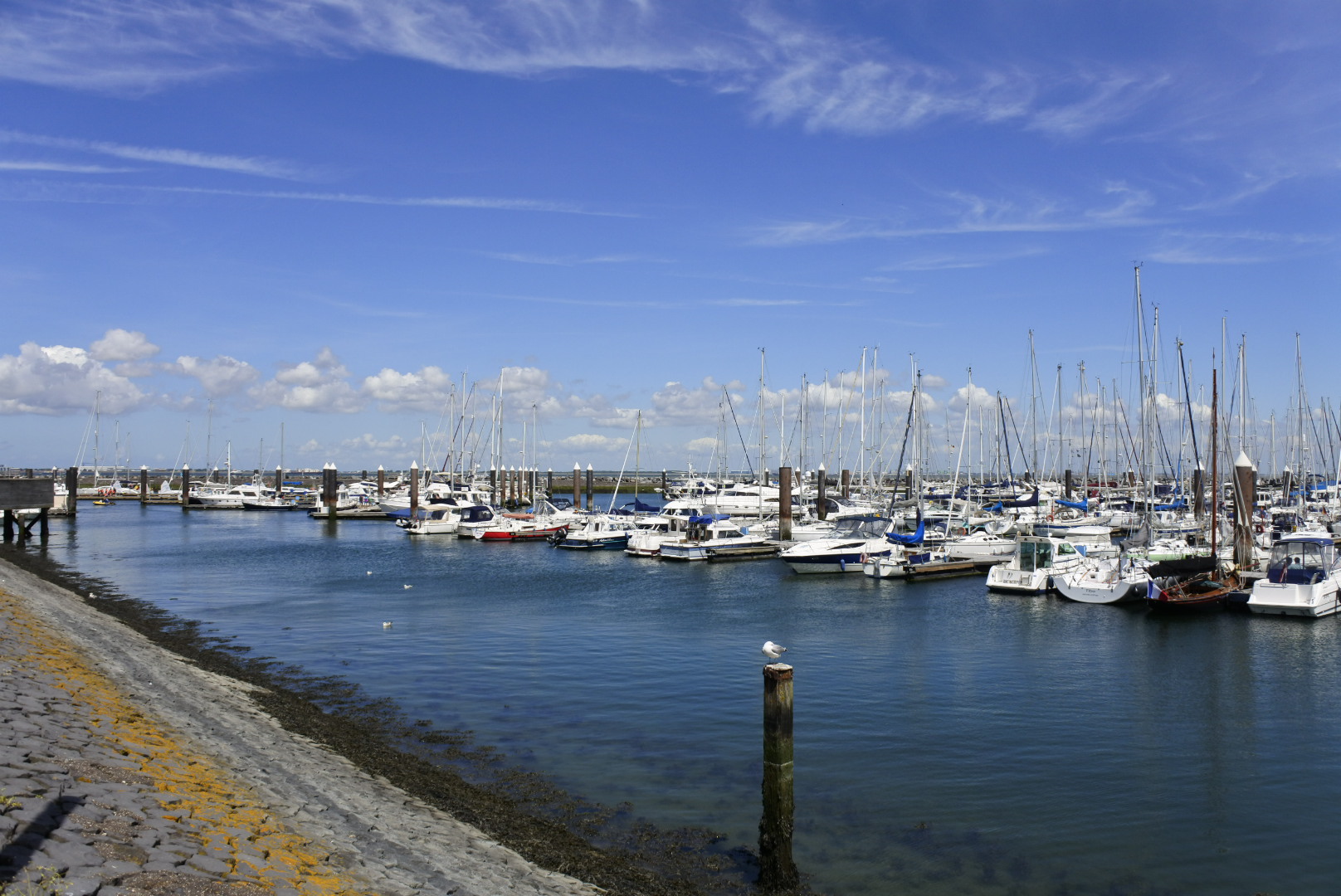 Hafen in Breskens