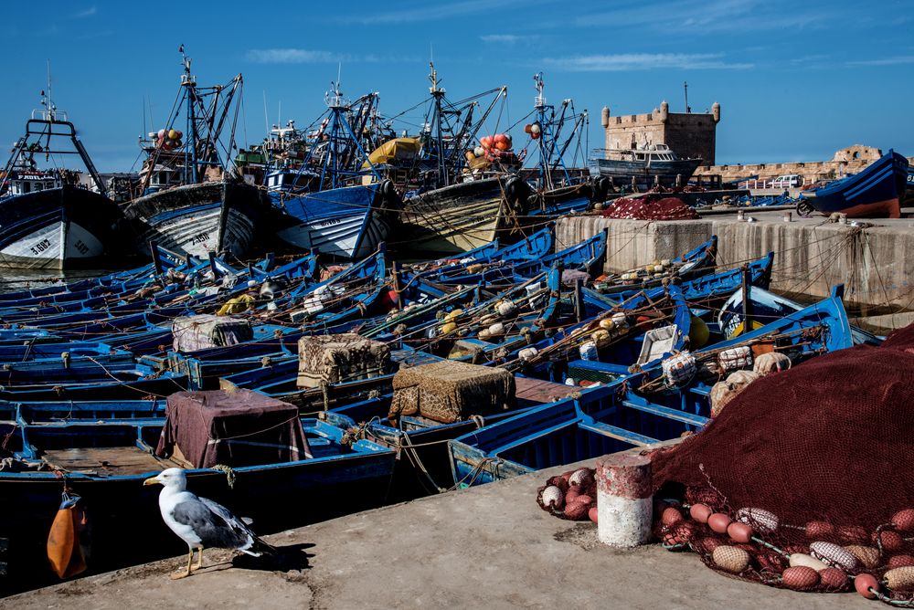 Hafen in Essauira