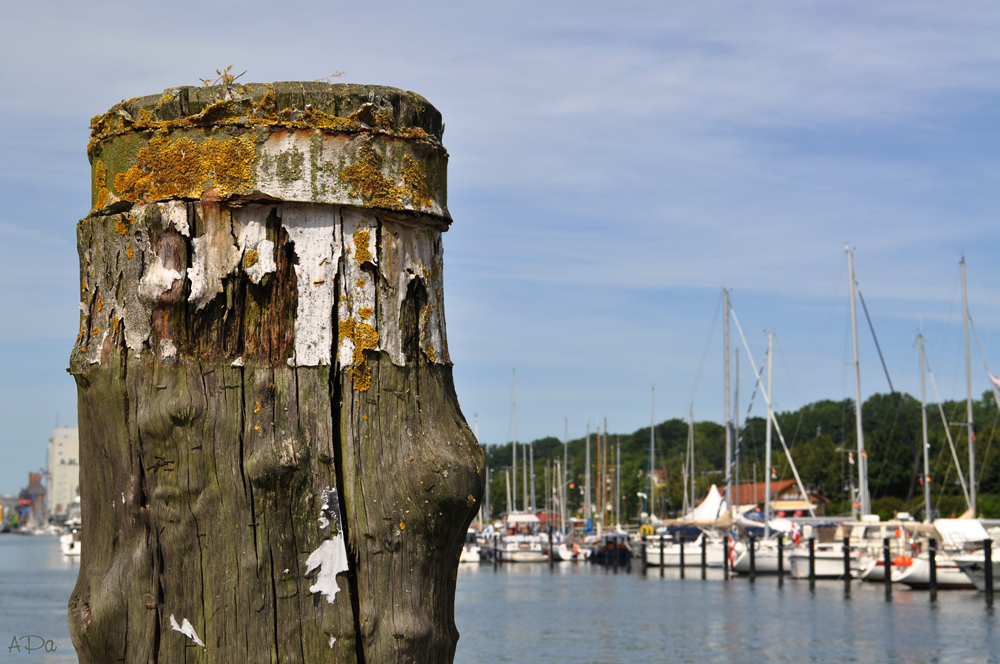 Hafen in Flensburg (2)