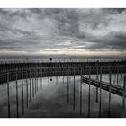 Hafen in Friedrichshafen