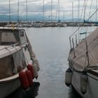 hafen in lausanne