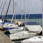 Hafen in Lindau