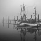 Hafen in Nebel