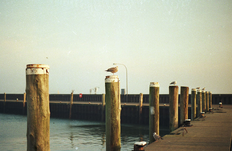 Hafen in Sylt